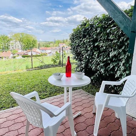 Studio Eglantine A Cambo-Les-Bains, Proche Thermes, Terrasse, Parking, Acces Internet, Animaux Ok - Fr-1-495-106 외부 사진
